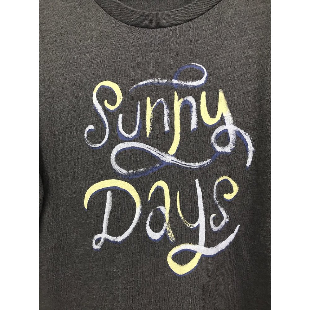 Wildfox Sunny Days Graphic Cotton T-Shirt Gray XL - Picture 4 of 7
